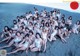 A group of women in white bathing suits posing for a picture on the beach.